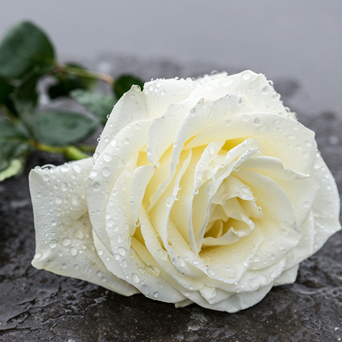 Todesfall in der Familie – so organisieren Sie eine Beisetzung ohne große Mehrbelastung