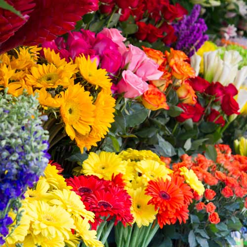 Ein Strauß besten Gewissens: Mit fairen Öko-Blumen noch mehr Freude schenken