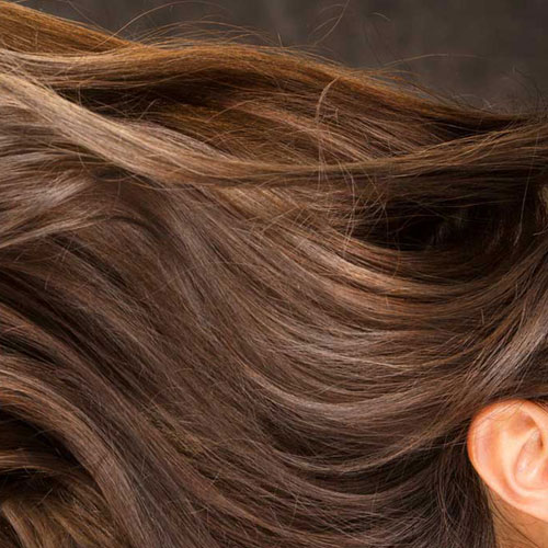 Extensions oder Bonding: Wo i...