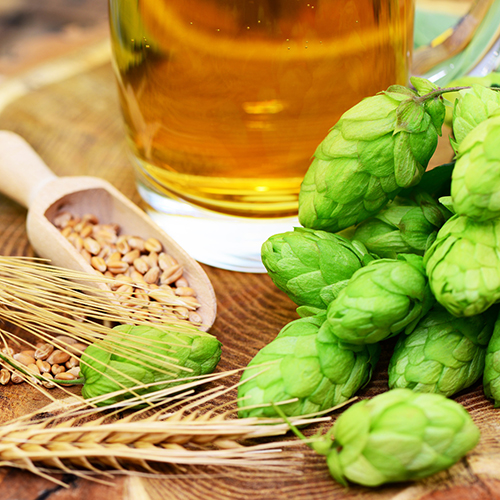 Bierbrauen – ganz einfach zu Hause