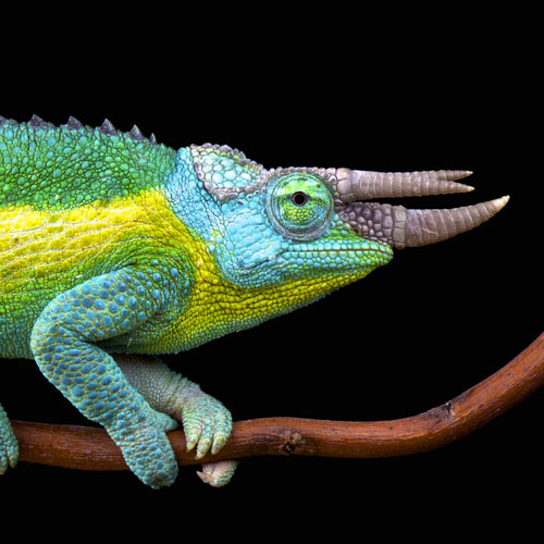 Die 15 skurrilsten Trends der Damenmode – so schräg ist Mode