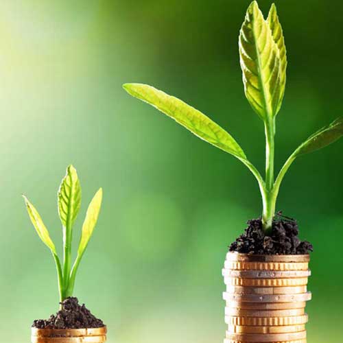 Nachhaltige Finanzdienstleistungen: So retten Sie mit Ihrer Bank die Welt