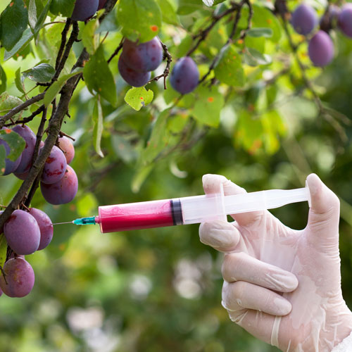 Die Dosis macht das Gift: Die gängigsten Chemiekalien in Lebensmitteln erkennen und vermeiden