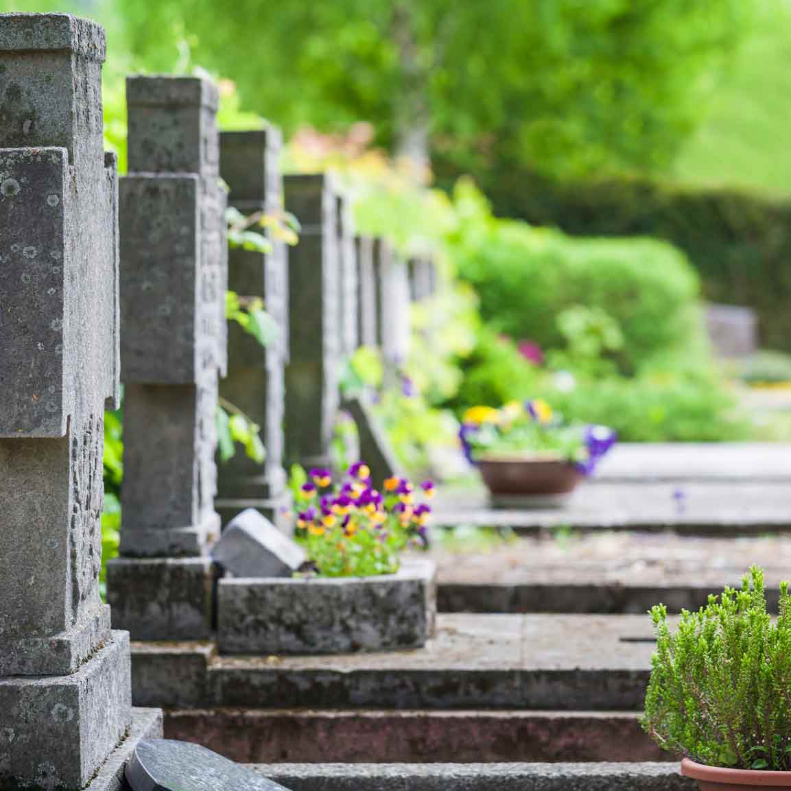 Tipps für eine geschmackvolle und pflegeleichte Grabbepflanzung