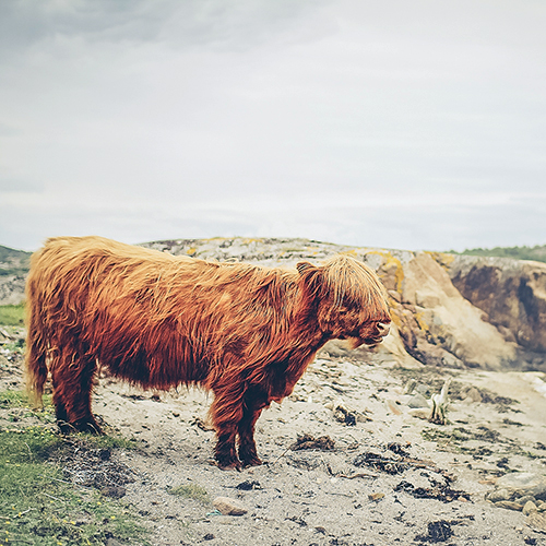 Haarpflege: Tipps für jeden Haartyp