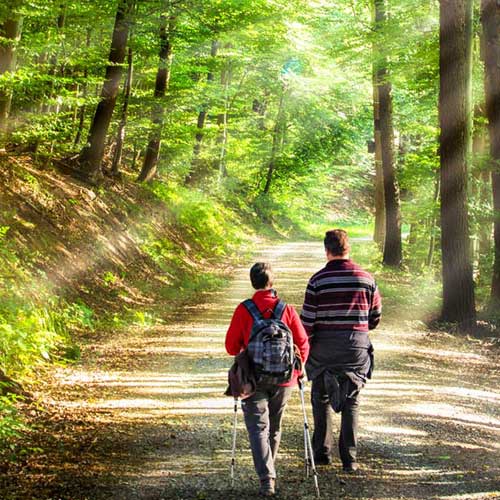 Gefangen in der Großstadt? Raus zu grünen Oasen außerhalb der Stadtgrenzen