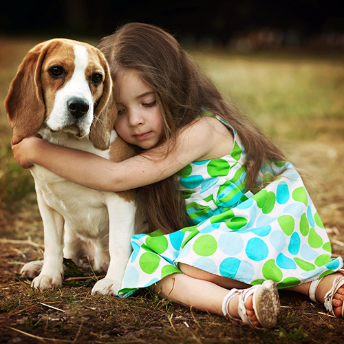 Hundekauf mit Bedacht: 9 Punkte, die Sie unbedingt beachten sollten