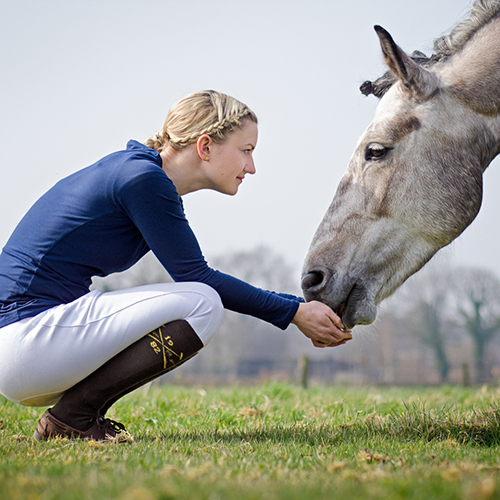 Top-IQ und trotzdem doof? Vie...