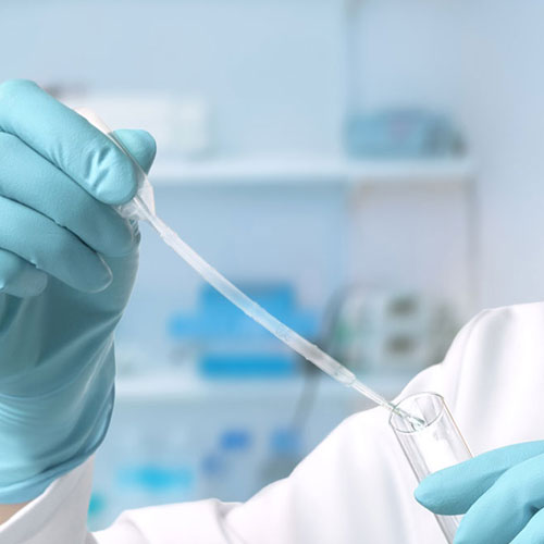 Lebensmittelunverträglichkeiten per DNA-Test bestimmen