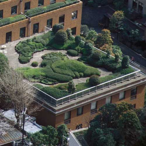 Traum einer Dachbegrünung: Tipps, Tricks und Stolperfallen