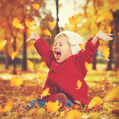 Ist Laub Abfall oder natürlicher Rohstoff?