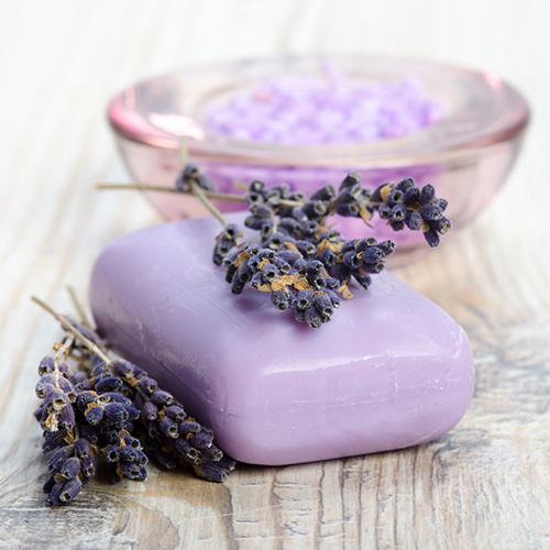 Mehr Lebensqualität dank Pfarrer Kneipp