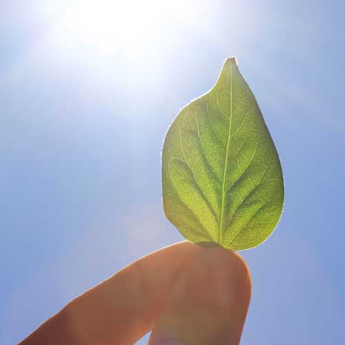 Greenwashing: So erkennen Sie für PR-Zwecke erfundene Umweltlabels