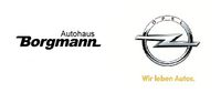 Logo der Firma Autohaus Borgmann GmbH