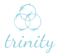 Weiteres Logo der Firma Cedric Nüsser Wellness- und Massagetherapeut Trinity Mobile Massage