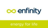 Logo der Firma Enfinity Germany