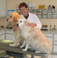 Tierarztpraxis Dr. med. vet. Reinhard Becht Abbildung Nr. 1