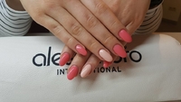 Weiteres Logo der Firma Nails & More by Christiane Petzold