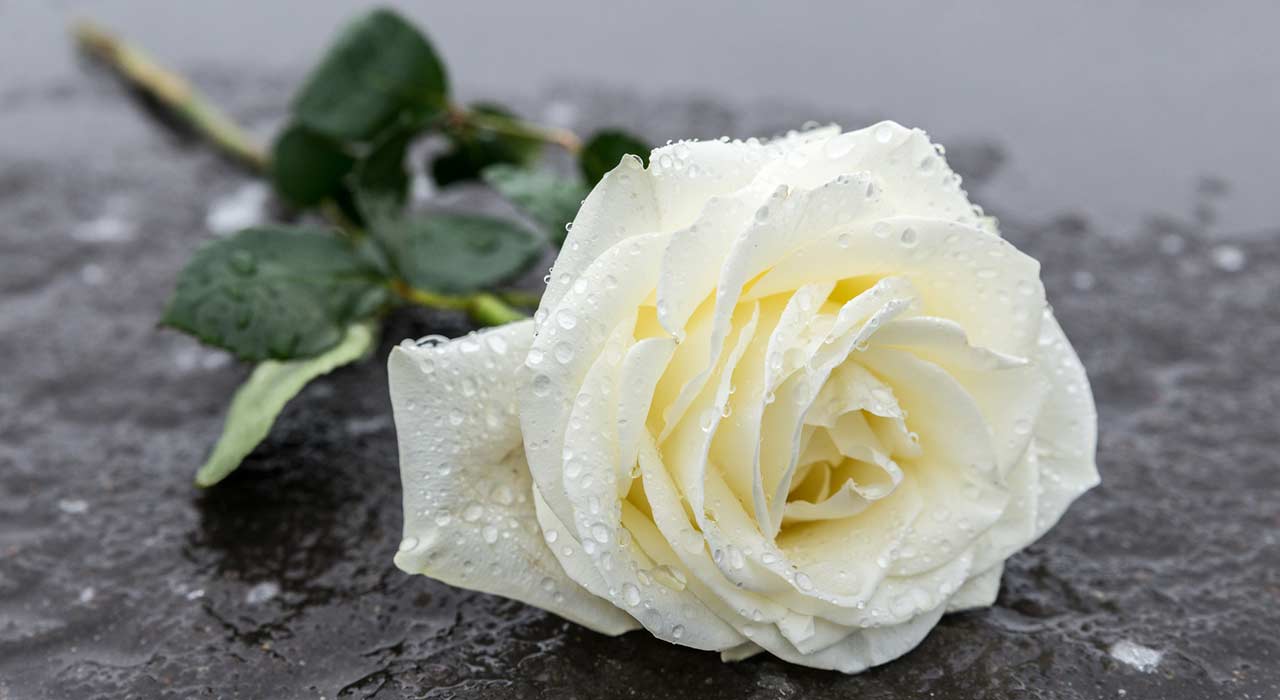 Todesfall in der Familie – so organisieren Sie eine Beisetzung ohne große Mehrbelastung