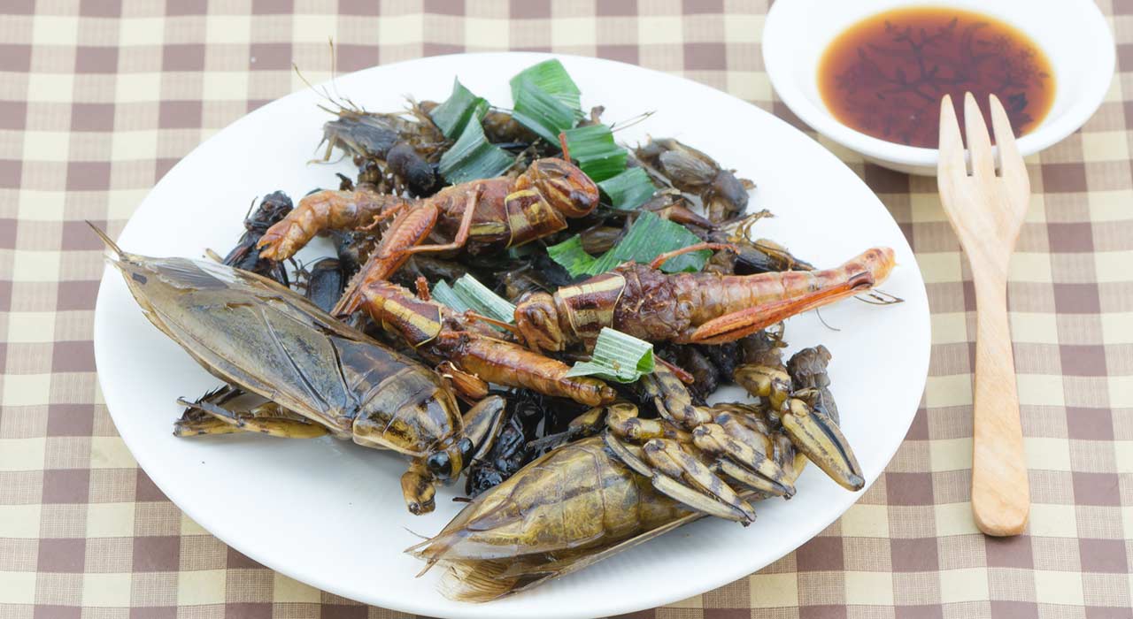 Insektensnacks: Darum bieten Sechsbeiner eine gute Alternative zum Fleischverzehr