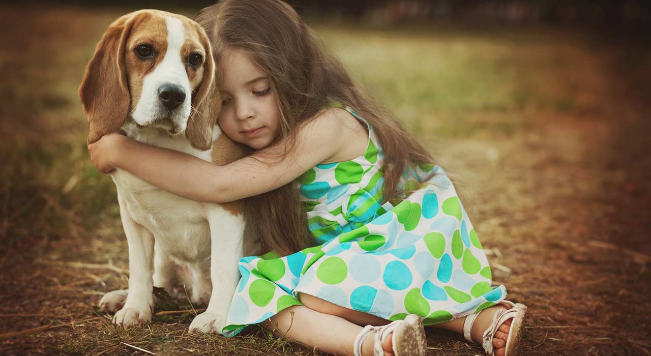 Hundesitter_550_Bild_1