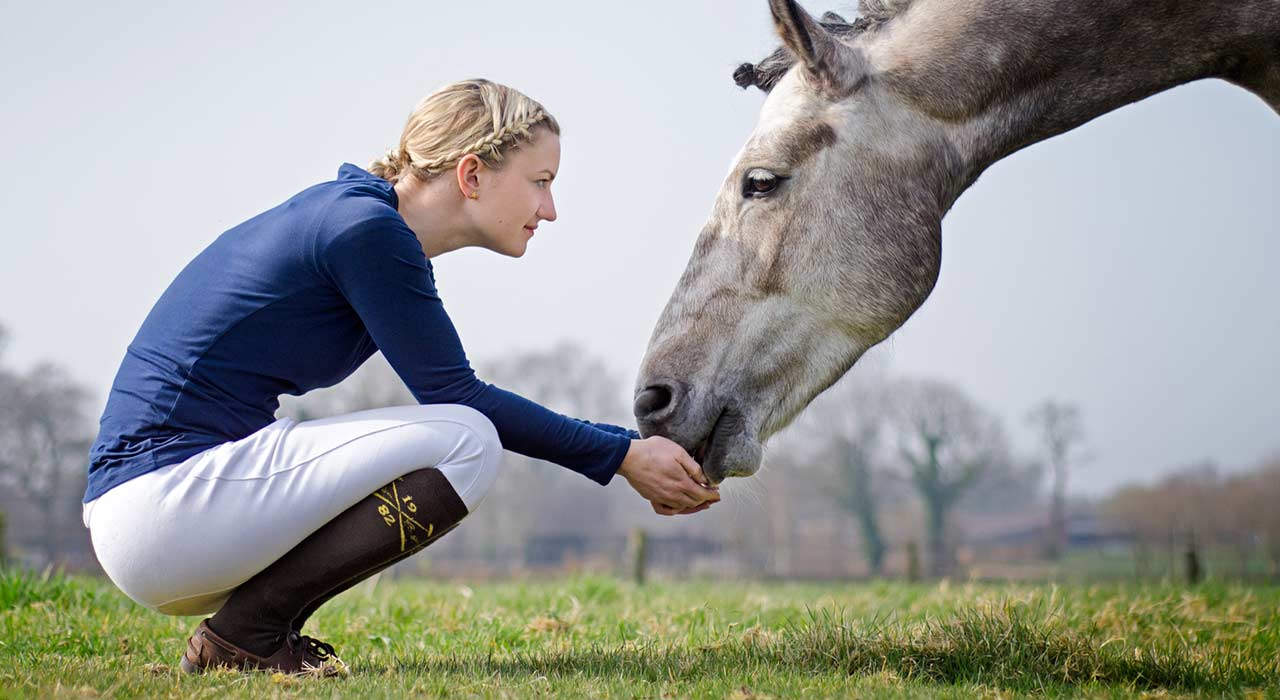Top-IQ und trotzdem doof? Viele Wege zu mehr emotionaler Intelligenz