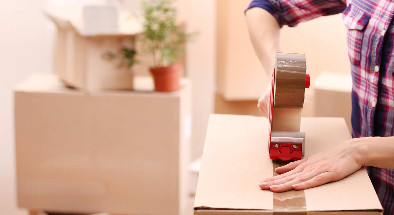 Internationale_Umzuege_1050_Bild_2