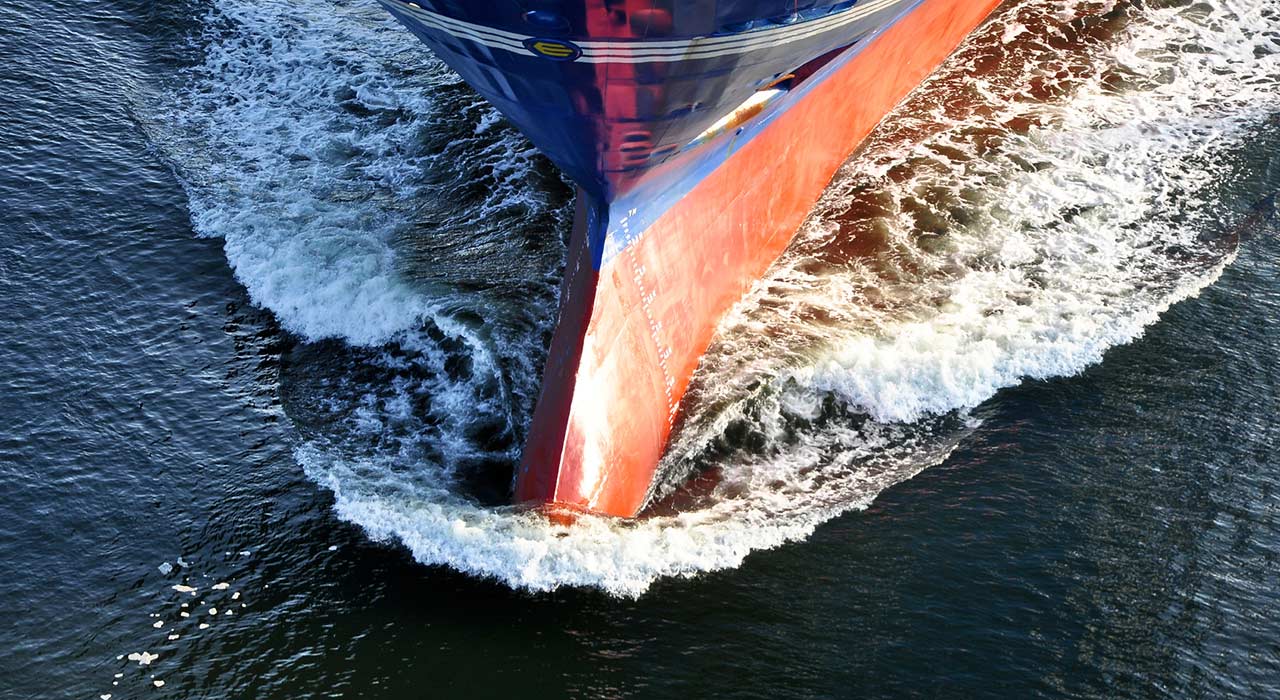 Internationale_Umzuege_1050_Bild_3