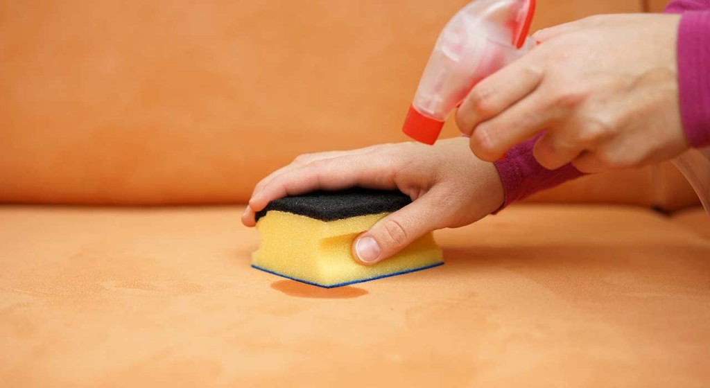 Polstermöbel richtig reinigen Die SchrittfürSchritt Anleitung