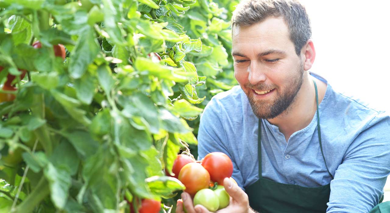 Wintergarten_379_Bild_1