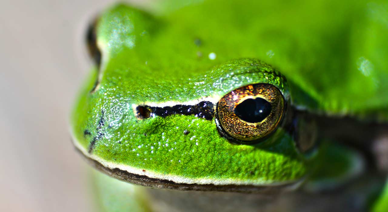 Zoo_und_Tierpark_405_Bild_2