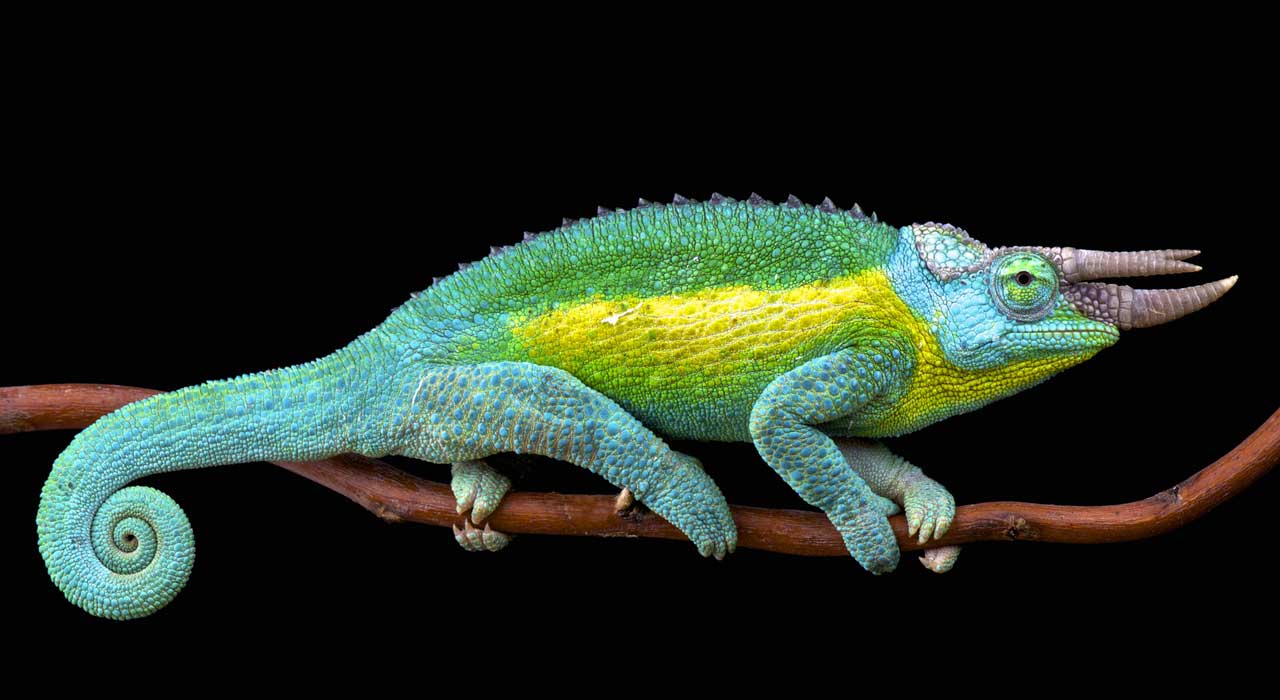 Die 15 skurrilsten Trends der Damenmode – so schräg ist Mode