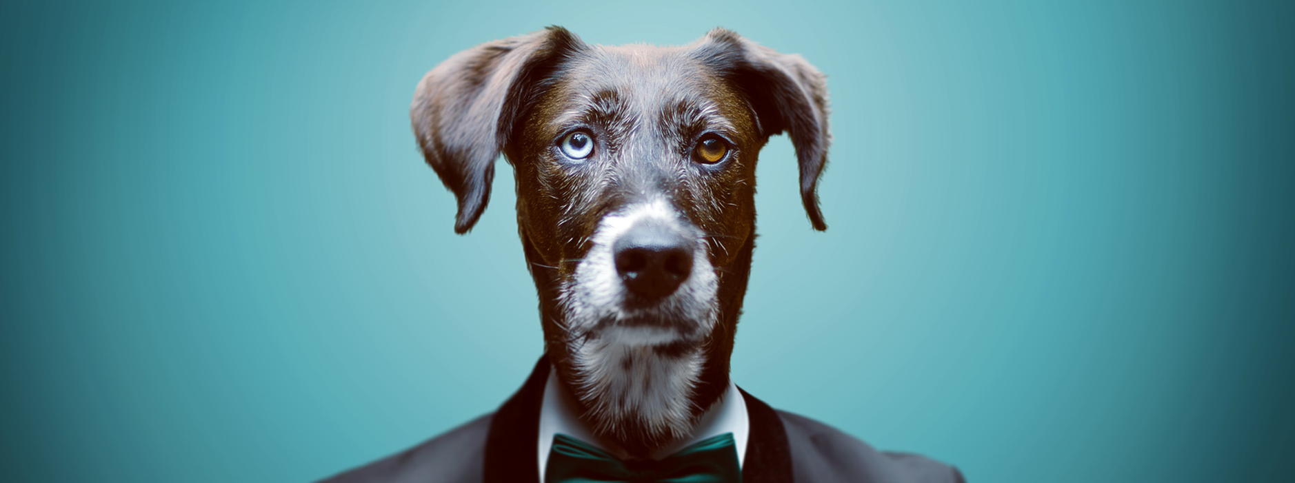 Hundeschule_zuschnitt