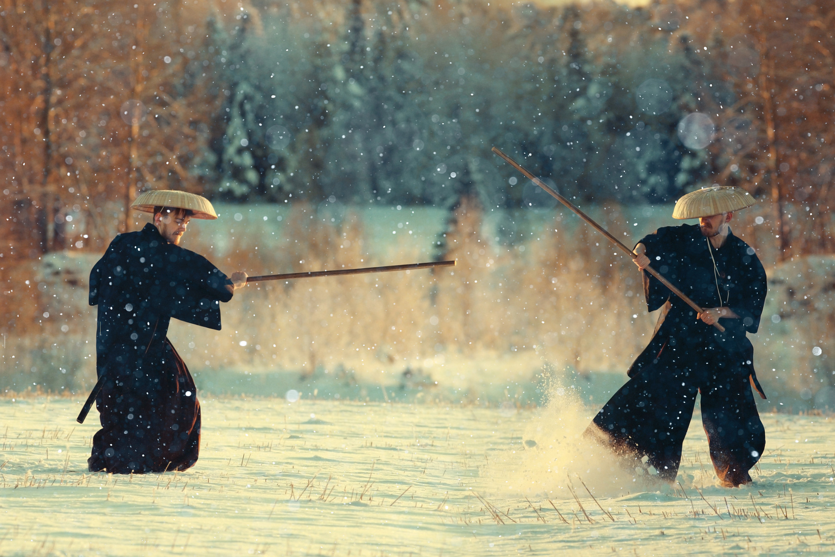 Mit harter Arbeit Großes erreichen: Die Kampfkunst des Kung Fu