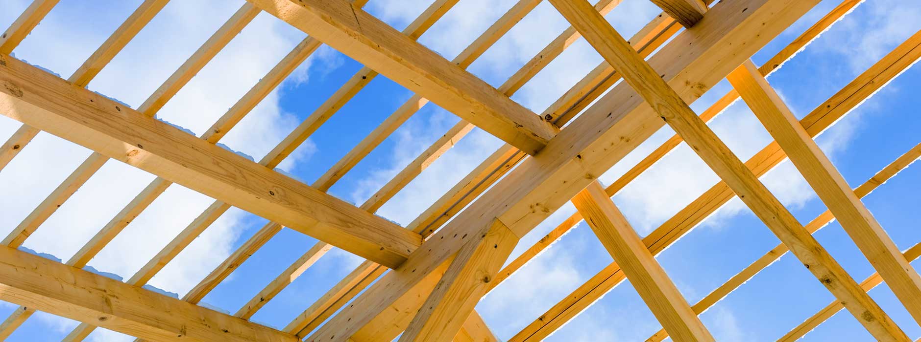 Holzbau_787_Bild_1
