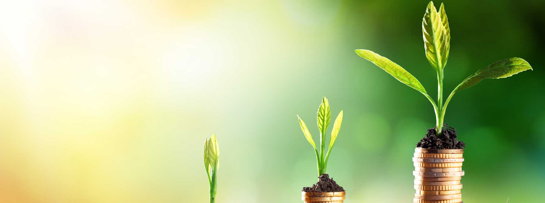 Finanzdienstleistungen_431_Bild_1