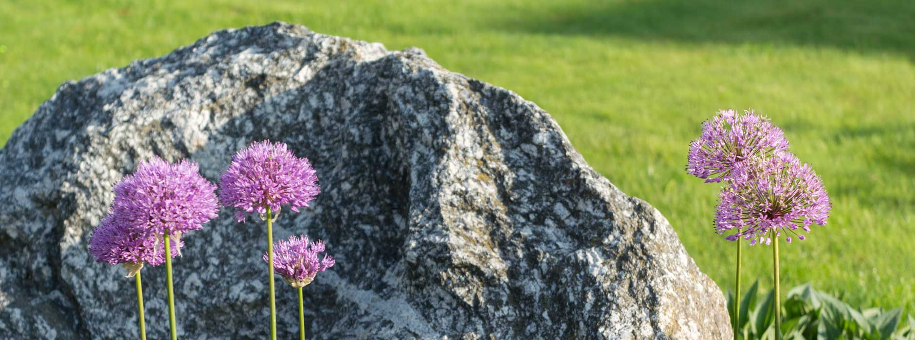 Ein Findling als Grabstein: Zeichen der Ruhe, Naturverbundenheit und Ewigkeit