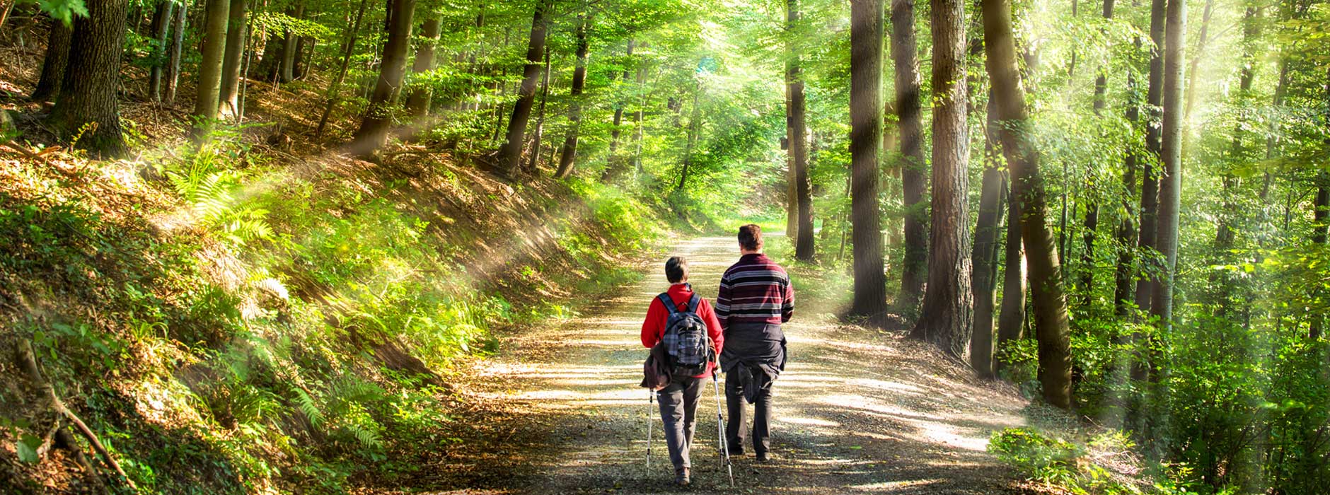 Gefangen in der Großstadt? Raus zu grünen Oasen außerhalb der Stadtgrenzen